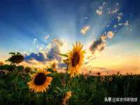 苏州墨哲根商贸有限公司