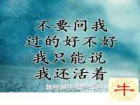 苏州墨哲根商贸有限公司