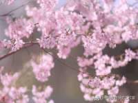 苏州墨哲根商贸有限公司