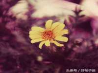 苏州墨哲根商贸有限公司