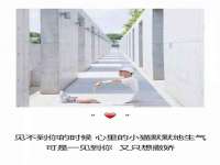 苏州墨哲根商贸有限公司