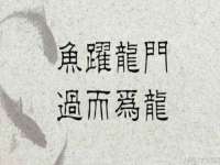 苏州墨哲根商贸有限公司