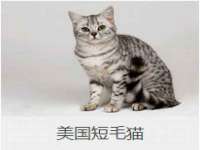 苏州墨哲根商贸有限公司