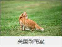 苏州墨哲根商贸有限公司