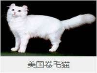 苏州墨哲根商贸有限公司