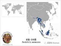 苏州墨哲根商贸有限公司