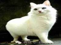 苏州墨哲根商贸有限公司