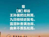 苏州墨哲根商贸有限公司