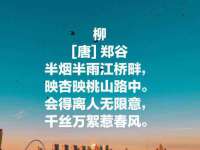 苏州墨哲根商贸有限公司