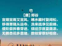 苏州墨哲根商贸有限公司