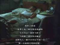 苏州墨哲根商贸有限公司