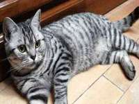 苏州墨哲根商贸有限公司