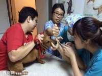 苏州墨哲根商贸有限公司