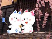 苏州墨哲根商贸有限公司