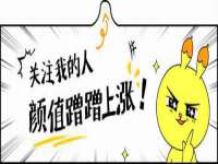 苏州墨哲根商贸有限公司