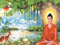 苏州墨哲根商贸有限公司